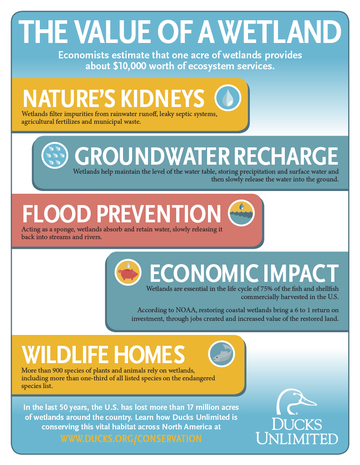 Event 2026 Key West Ducks Unlimited Dinner