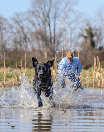 Event Hart County Annual Conservation Banquet
