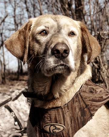 Event NORTH SHORE ONEIDA LAKE ANNUAL BANQUET