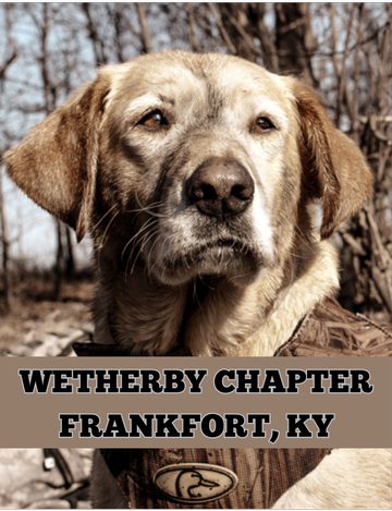 Event 50th Anniversary Wetherby Membership Banquet