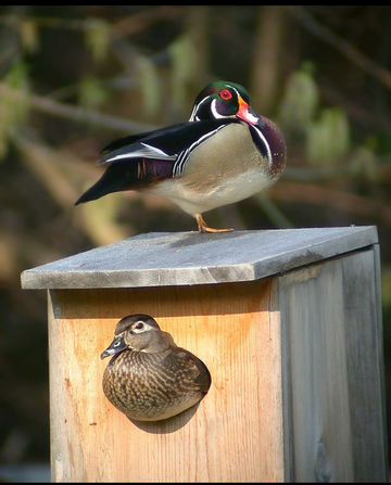 Event Suwannee River Dinner Banquet