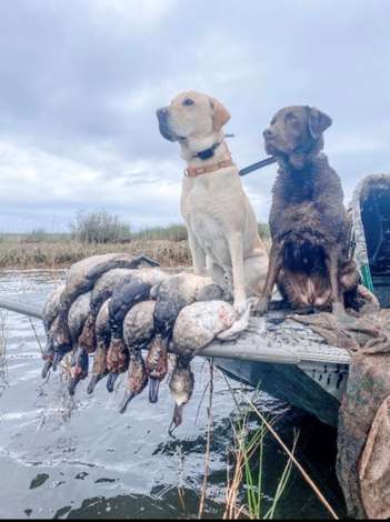 Event Bay County Ducks Unlimited Dinner Banquet