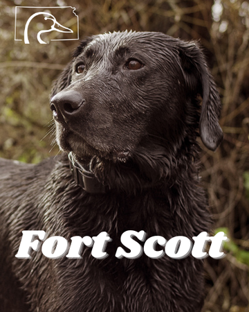 Event Fort Scott Ducks Unlimited Dinner
