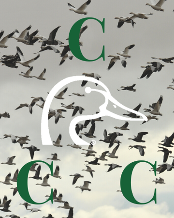 Event Cow Creek Ducks Unlimited Dinner (Girard)