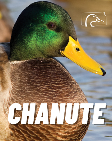 Event Chanute Ducks Unlimited Dinner