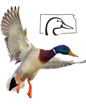 Event 2026 Kansas Ducks Unlimited State Convention