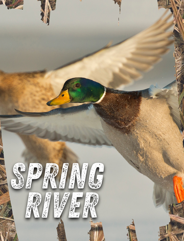 Event Spring River Ducks Unlimited Dinner Banquet (Baxter Springs)