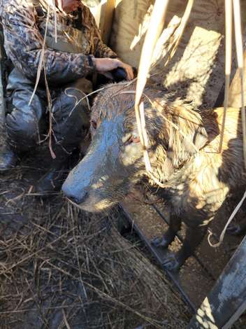 Event Fairfield County Dinner