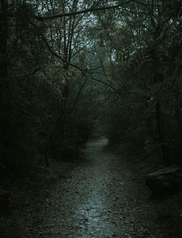 Event Screaming Acres Haunted Trail & Hayride
