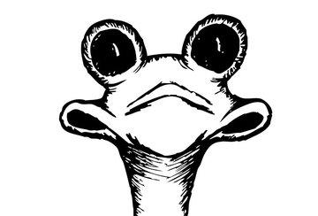 Event Hampton Ducks Unlimited Happy Hour at Oozlefinch