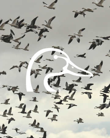 Event 2026 Winter Haven Ducks Unlimited Dinner