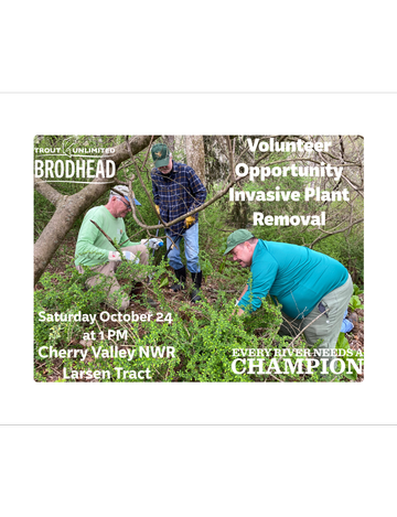 Event Invasive Plant Removal