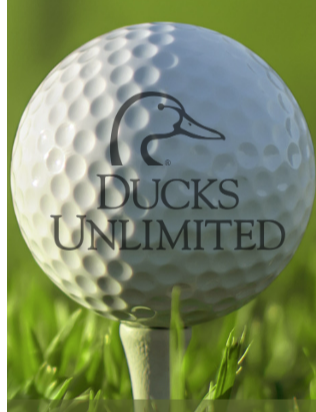 Event logo