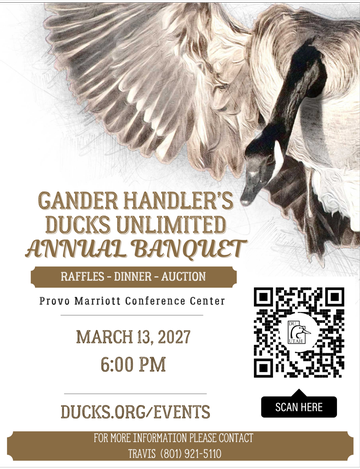 Event logo