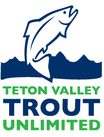 Event logo