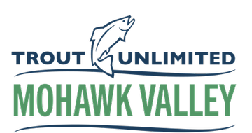 Event Mohawk Valley TU Chapter Gathering and Board Elections