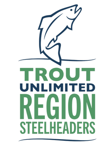 Event logo