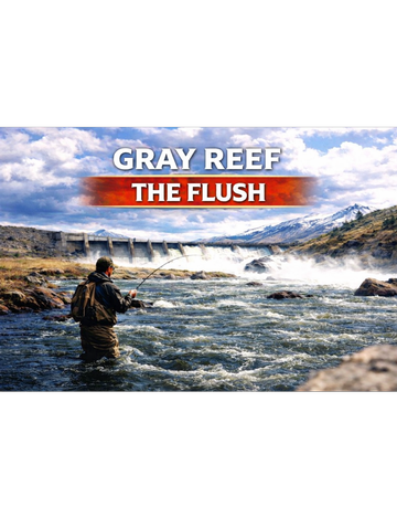 Event Gray Reef - Flush - Club Trip