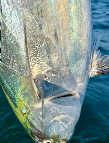 Event logo