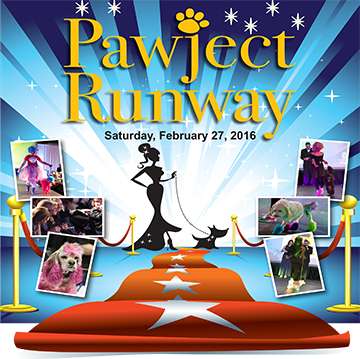 Event 2016 Allen County SPCA Pawject Runway
