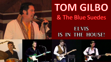 Event Tom Gilbo & The Blue Suedes