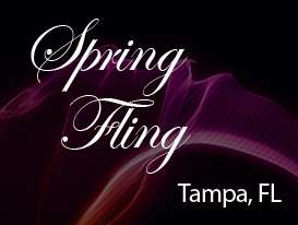 Event Tampa Spring Fling - Daytime Spectator
