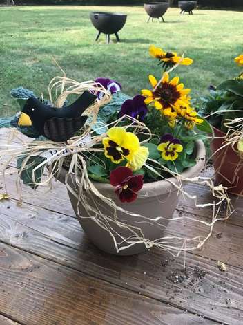 Event Girl's Night Out-C&H Plants Fall Patio Plant Class