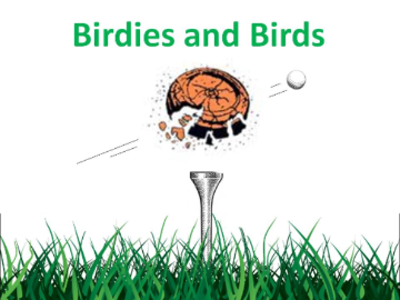 Event Birdies and Birds