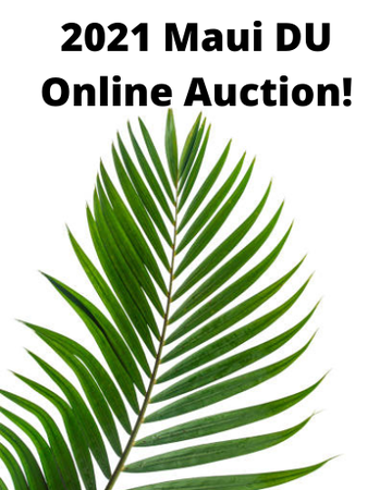 Event Maui Ducks Unlimited Virtual Auction