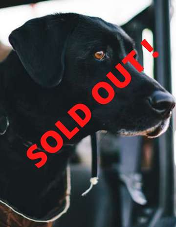 Event Wetherby Dinner - Frankfort - SOLD OUT !