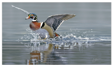 Event Tracy Ducks Unlimited Chapter 2021 Online Auction