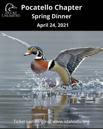 Event Pocatello Spring Dinner