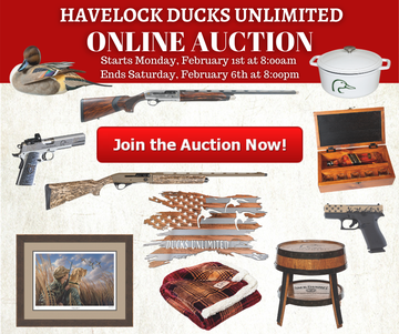 Event Havelock DU Online Auction