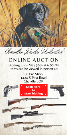 Event Chandler Online Auction