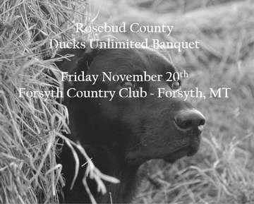Event Rosebud County (Forsyth) Ducks Unlimited Banquet
