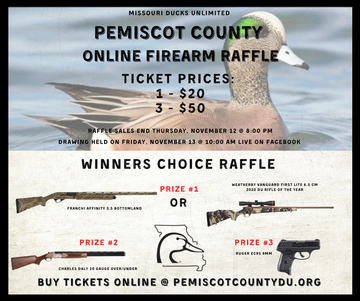 Event Pemiscot County Online Firearm Raffle