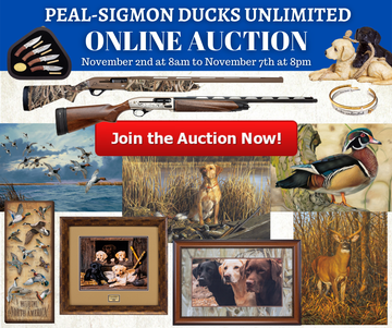 Event Peal-Sigmon Online Auction