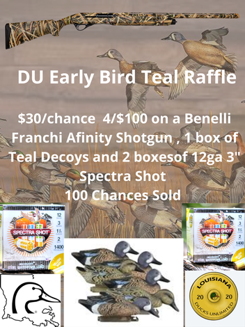 Event Teal Package Raffle