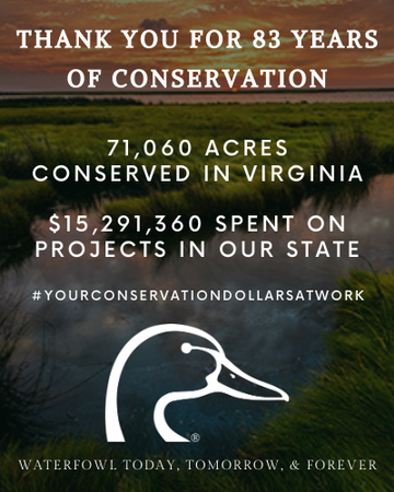 Event Virginia Ducks Unlimited Virtually Connected Social Hour