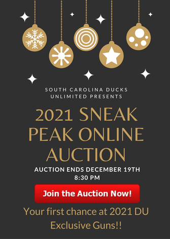 Event SCDU 2021 Sneak Peak Online Auction