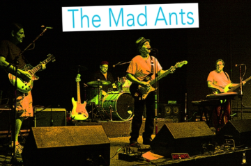 Event The Mad Ants Live
