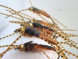 Event Tie One On Tuesday - Woven Stonefly Nymph paired with Amaro on the Rocks with Erik Nadoban