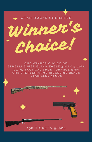 Event Winner's Choice