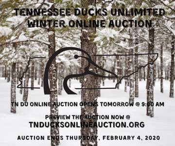 Event TNDU Winter Online Auction