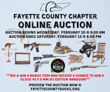 Event Fayette County Online Auction