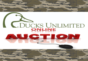 Event February Online Auction