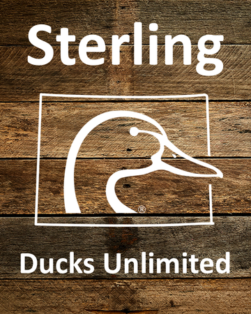 Event Sterling Ducks Unlimited Banquet