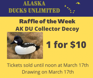 Event AK DU Raffle of the Week _ AK DU Collector Decoy Barrow's Goldeneye
