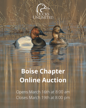 Event Boise Online Auction March 16 - March 19