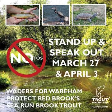 Event Waders for Wareham - Stand Up & Speak Out for Salter BrookTrout